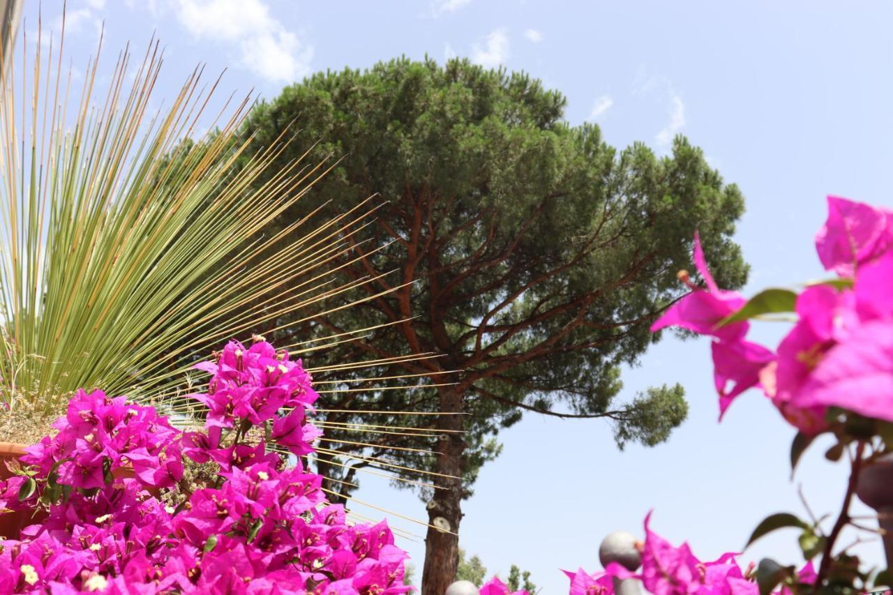 Paradiso 3* Castellammare di Stabia